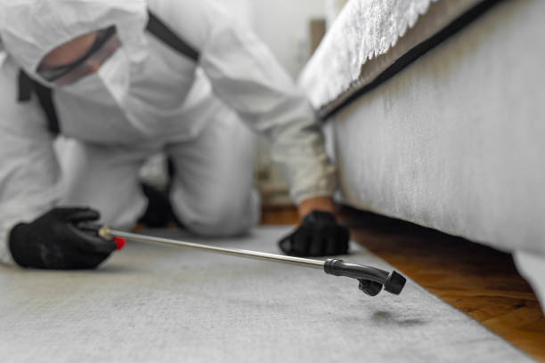Professional Bed Bug Control technician working in Batesville, MS