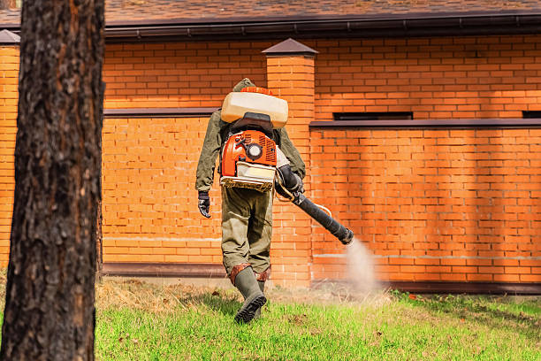 Trusted Termite Control service in Batesville, MS - Nex Pest Control